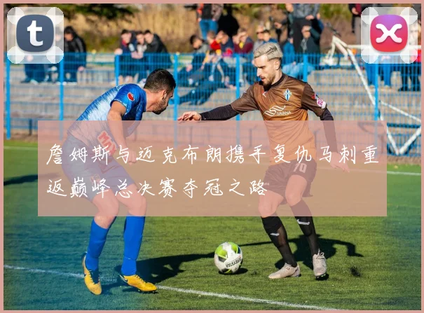 詹姆斯与迈克布朗携手复仇马刺重返巅峰总决赛夺冠之路