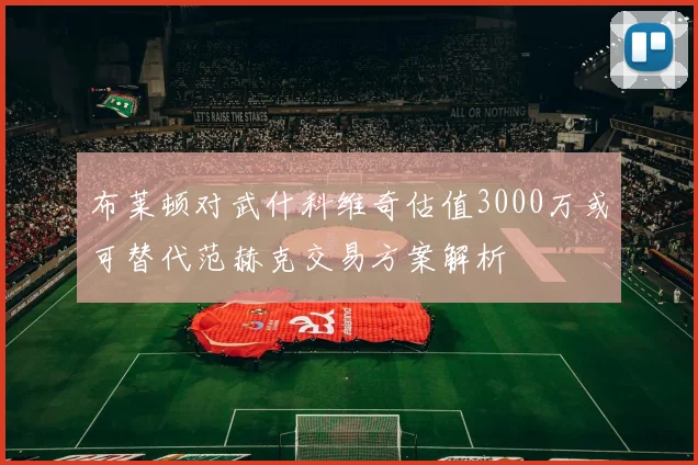 布莱顿对武什科维奇估值3000万或可替代范赫克交易方案解析