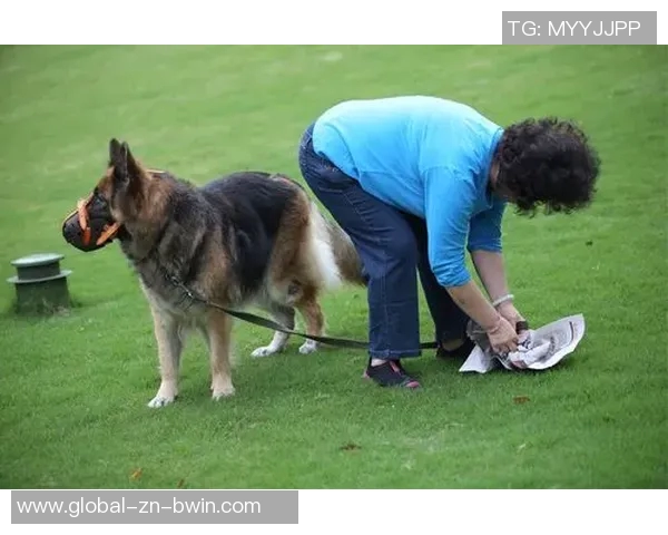 悬赏金激增至两万美元拉姆塞全力寻回心爱爱犬 悬赏金激增至两万美元拉姆塞全力寻回心爱爱犬